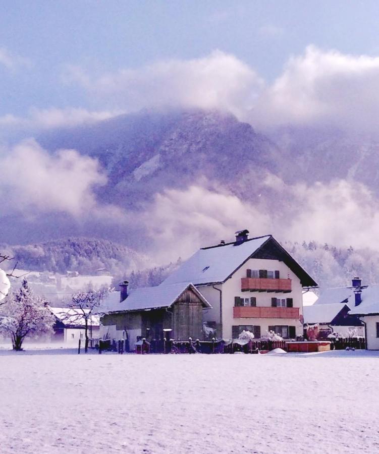 Apartamento Haus Moni Bad Goisern Exterior foto