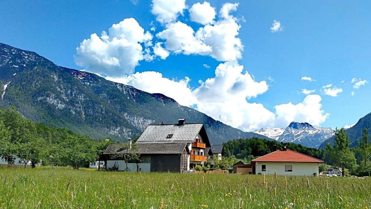 Apartamento Haus Moni Bad Goisern Exterior foto